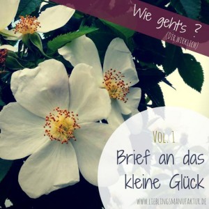 Brief an das kleine Glück - VOL 1 - Wie gehts