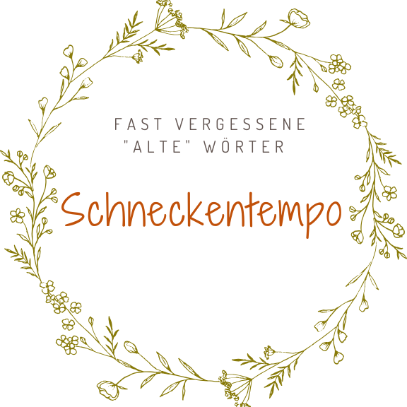 Schneckentempo